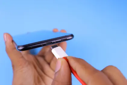 Casino Dogs Fortune Mobiilirakendus